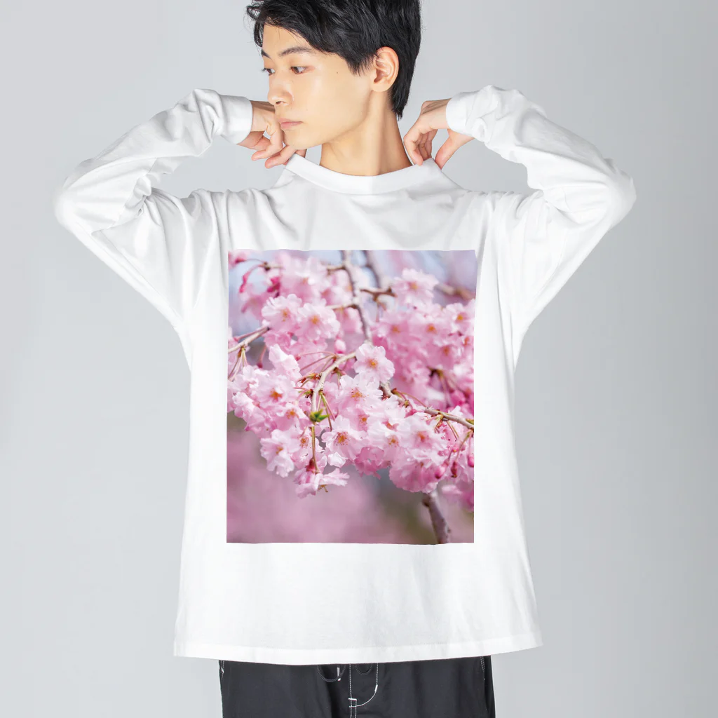 akane_art（茜音工房）の癒しの風景（八重桜） ビッグシルエットロングスリーブTシャツ