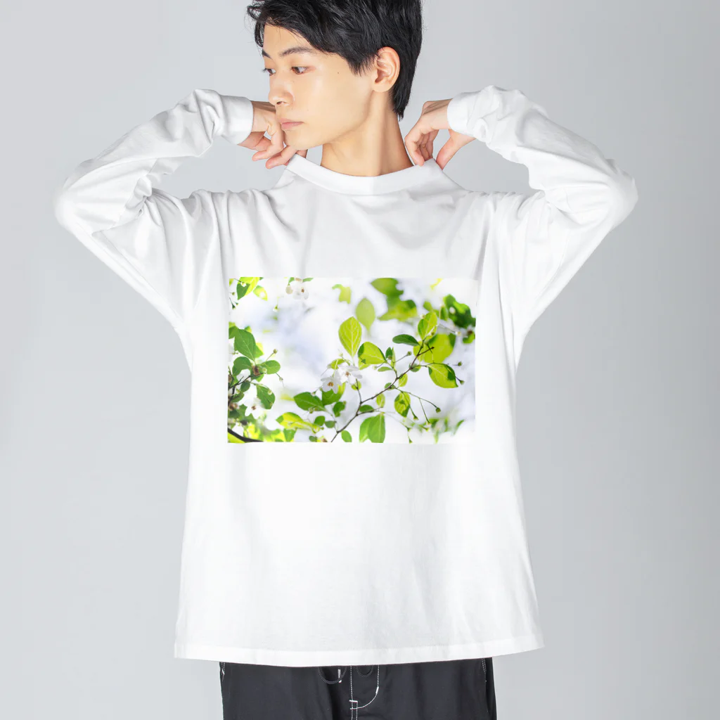 akane_art（茜音工房）の癒しの風景（エゴノキ） Big Long Sleeve T-Shirt