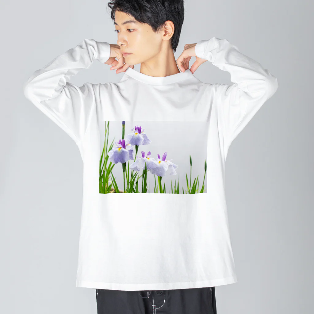 akane_art（茜音工房）の癒しの風景（花菖蒲） Big Long Sleeve T-Shirt