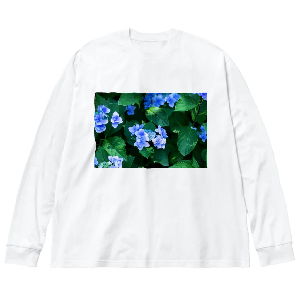 akane_art（茜音工房）の癒しの風景（アジサイ） ビッグシルエットロングスリーブTシャツ