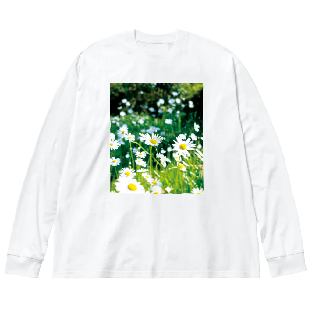 akane_art（茜音工房）の癒しの風景（シャスタデイジー） Big Long Sleeve T-Shirt