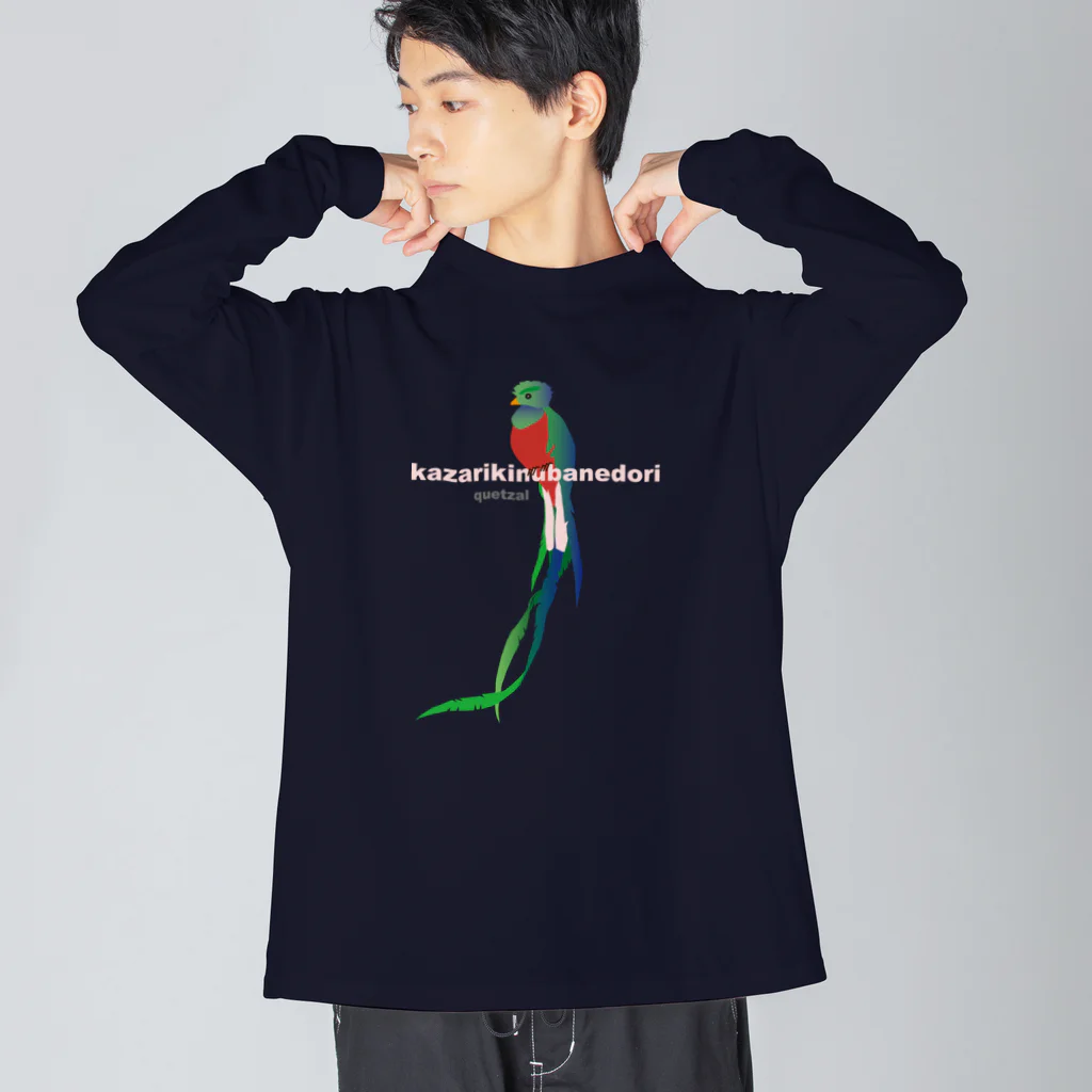 エダマメトイチ雑貨店のケツァール、会ってみたいです Big Long Sleeve T-Shirt