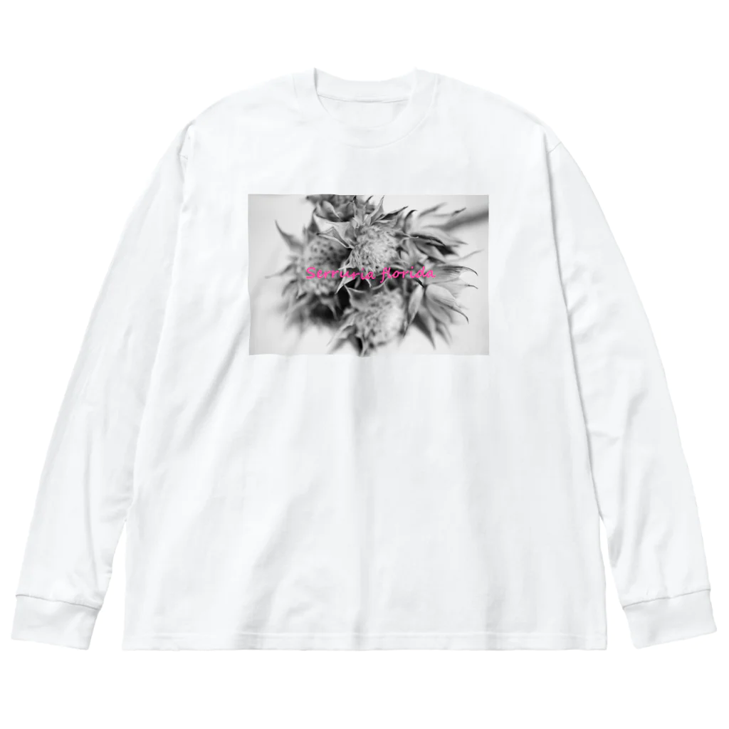 photo-kiokuのセルリア Big Long Sleeve T-Shirt