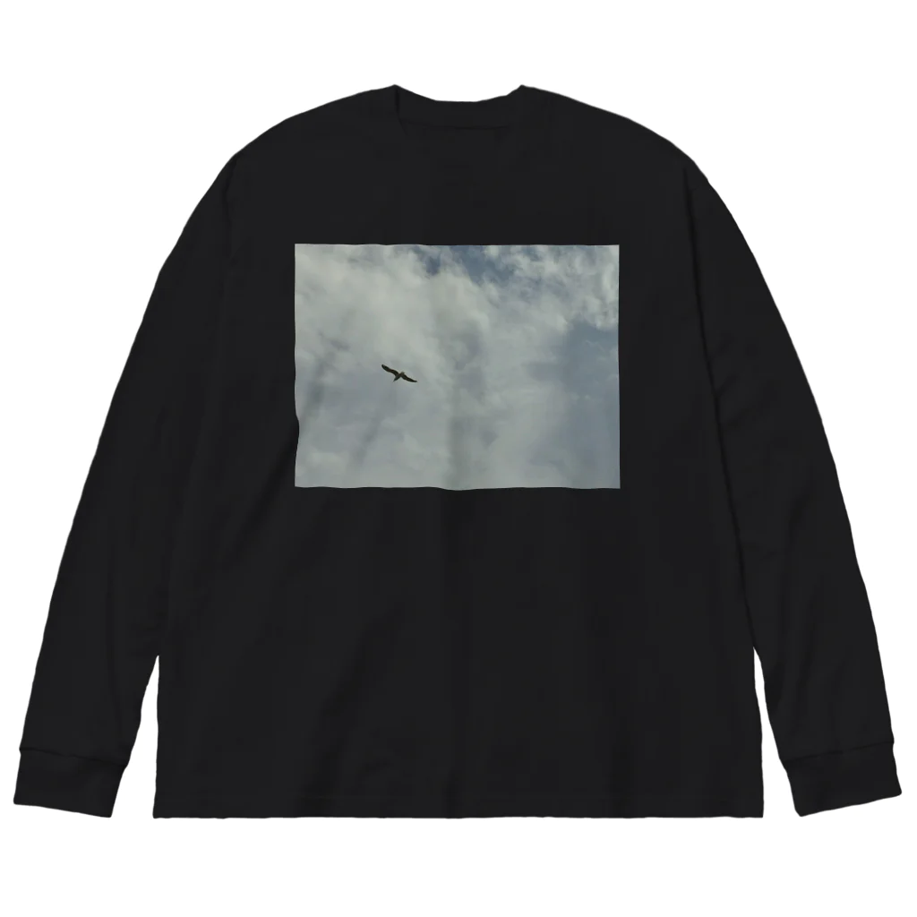 空屋　sorayakusakaの201808221304003　オオセグロカモメ Big Long Sleeve T-Shirt