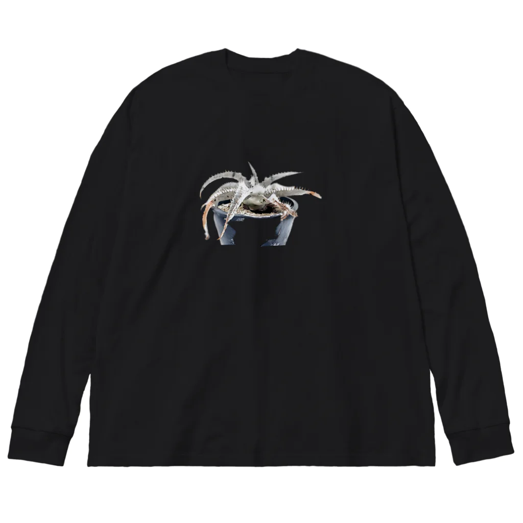 bota.Pのディッキア　マルニエルラポストレイ Big Long Sleeve T-Shirt