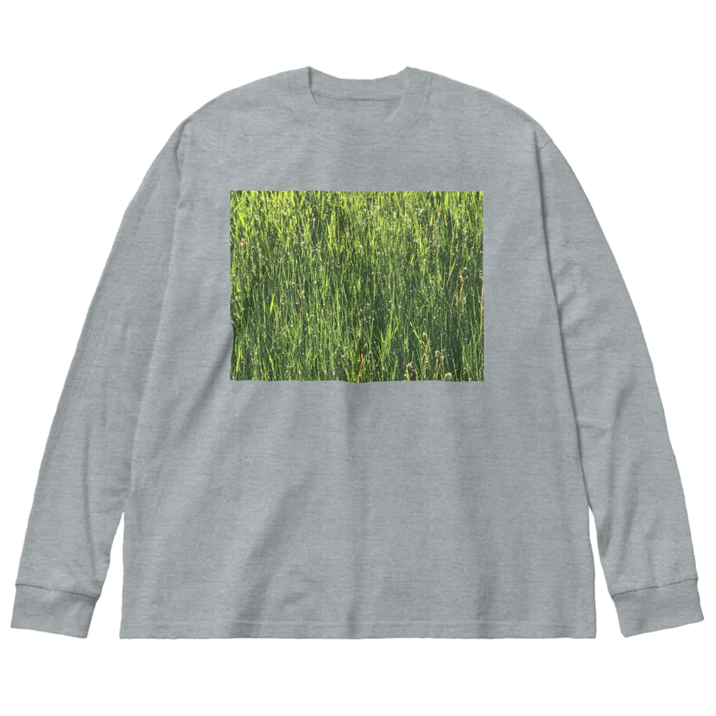 空屋　sorayakusakaの201905291758002　雨上がり Big Long Sleeve T-Shirt