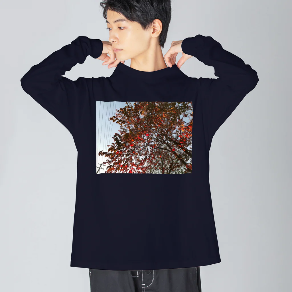 空屋　sorayakusakaの201910181619002　桜の紅葉 Big Long Sleeve T-Shirt