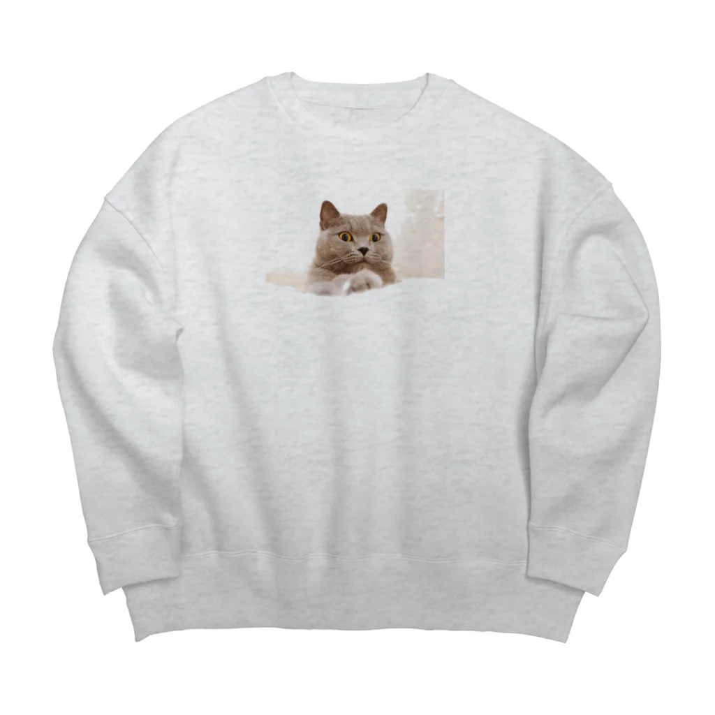 AGUのアグ(おめめまん丸) Big Crew Neck Sweatshirt