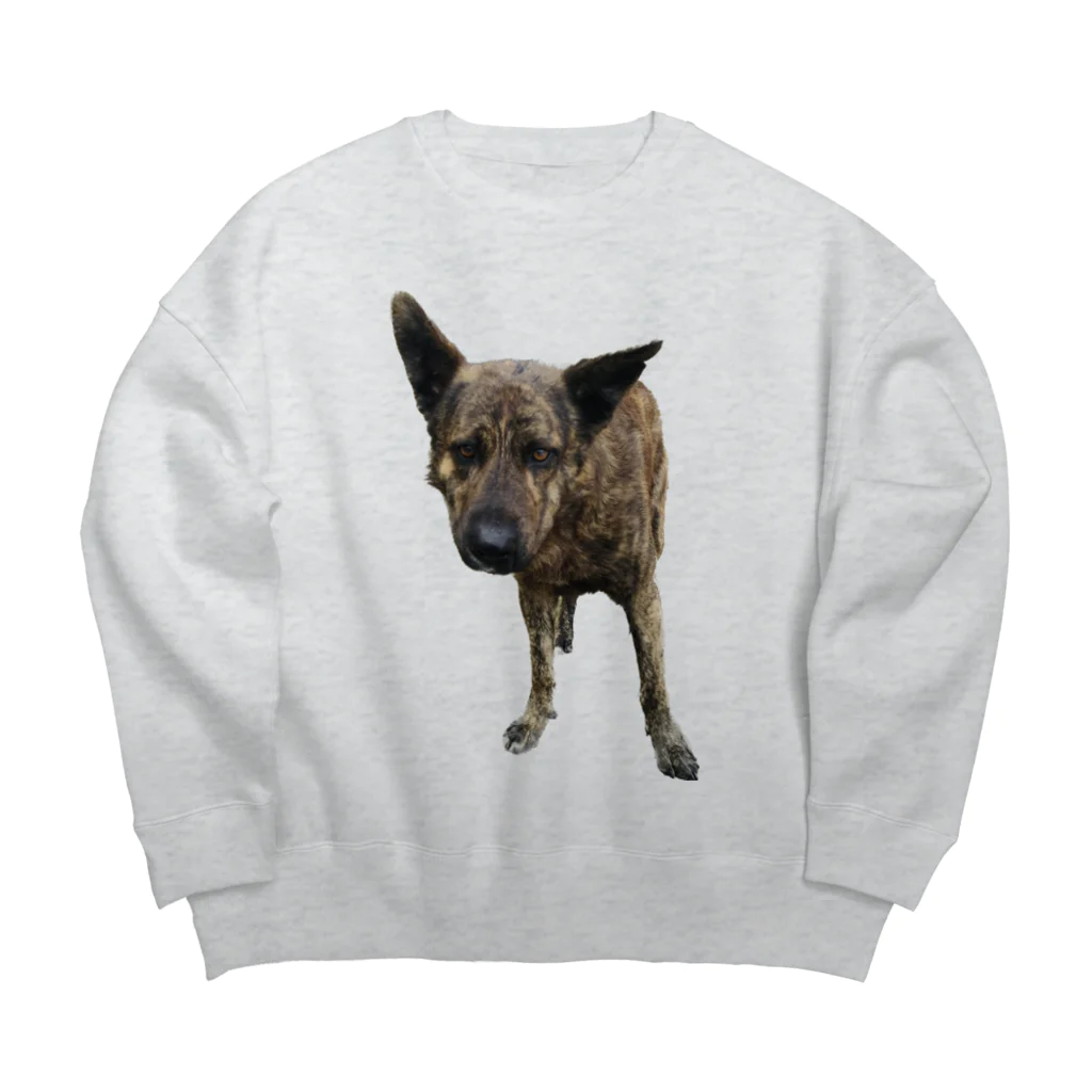 EYE CANDYの愛犬注意 Big Crew Neck Sweatshirt