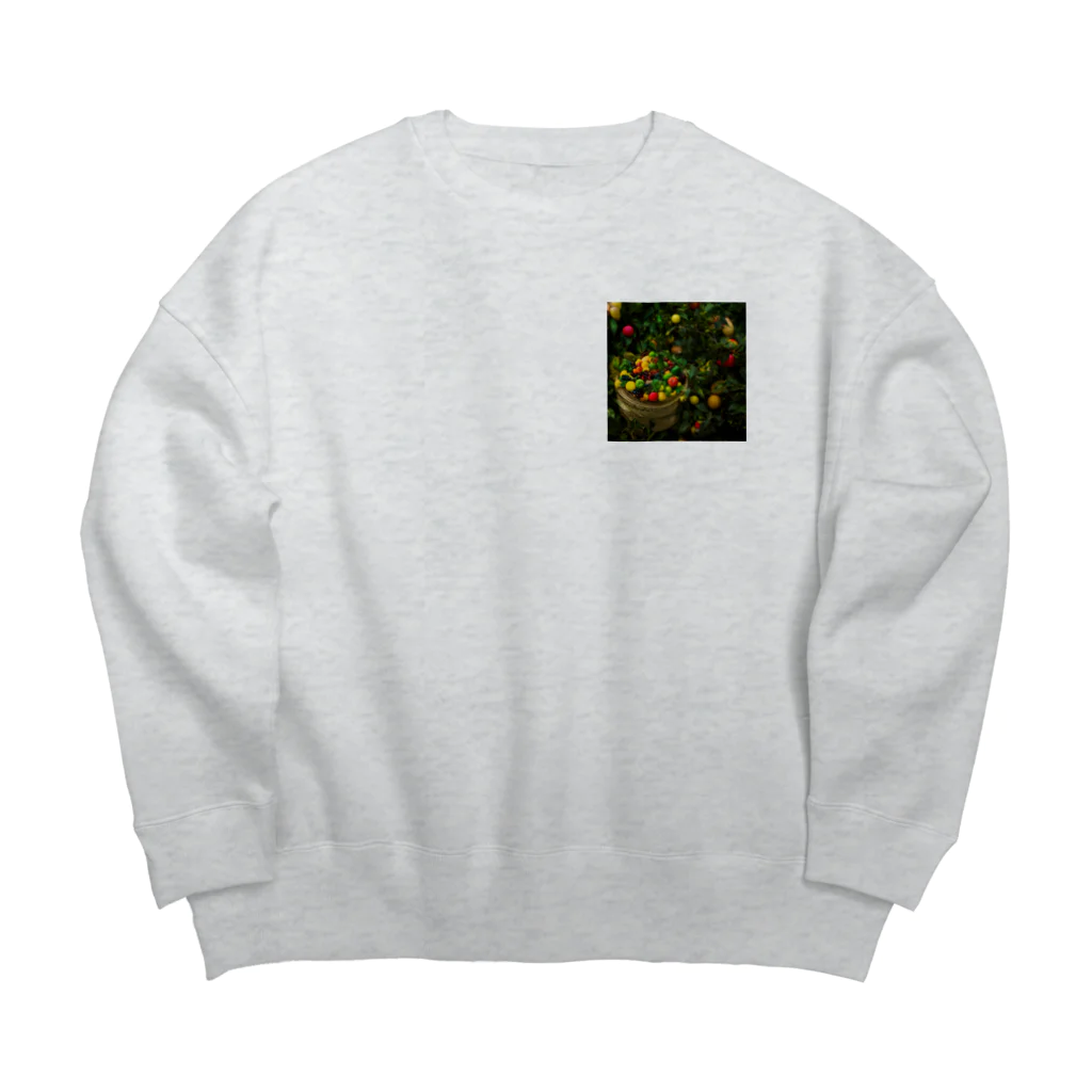 million-mindの大地の恵み Big Crew Neck Sweatshirt