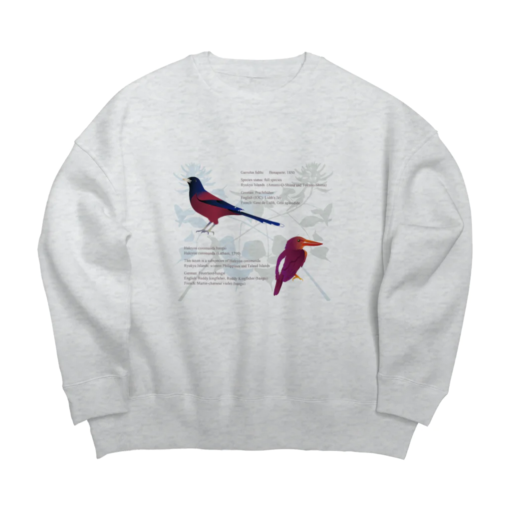 ひねもす屋　2号店の琉球の鮮やかな鳥たち Big Crew Neck Sweatshirt