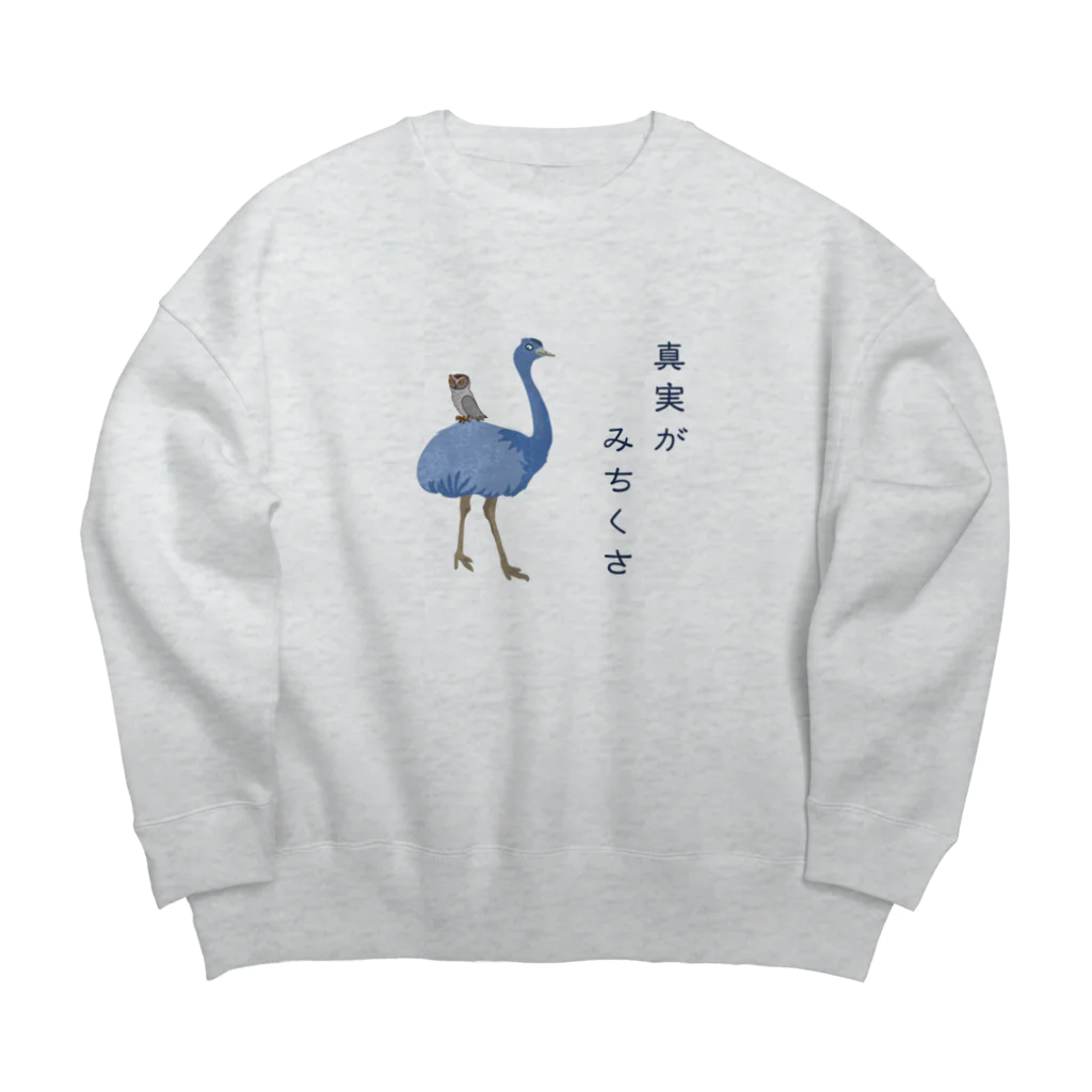 nachau7の真実がみちくさ Big Crew Neck Sweatshirt