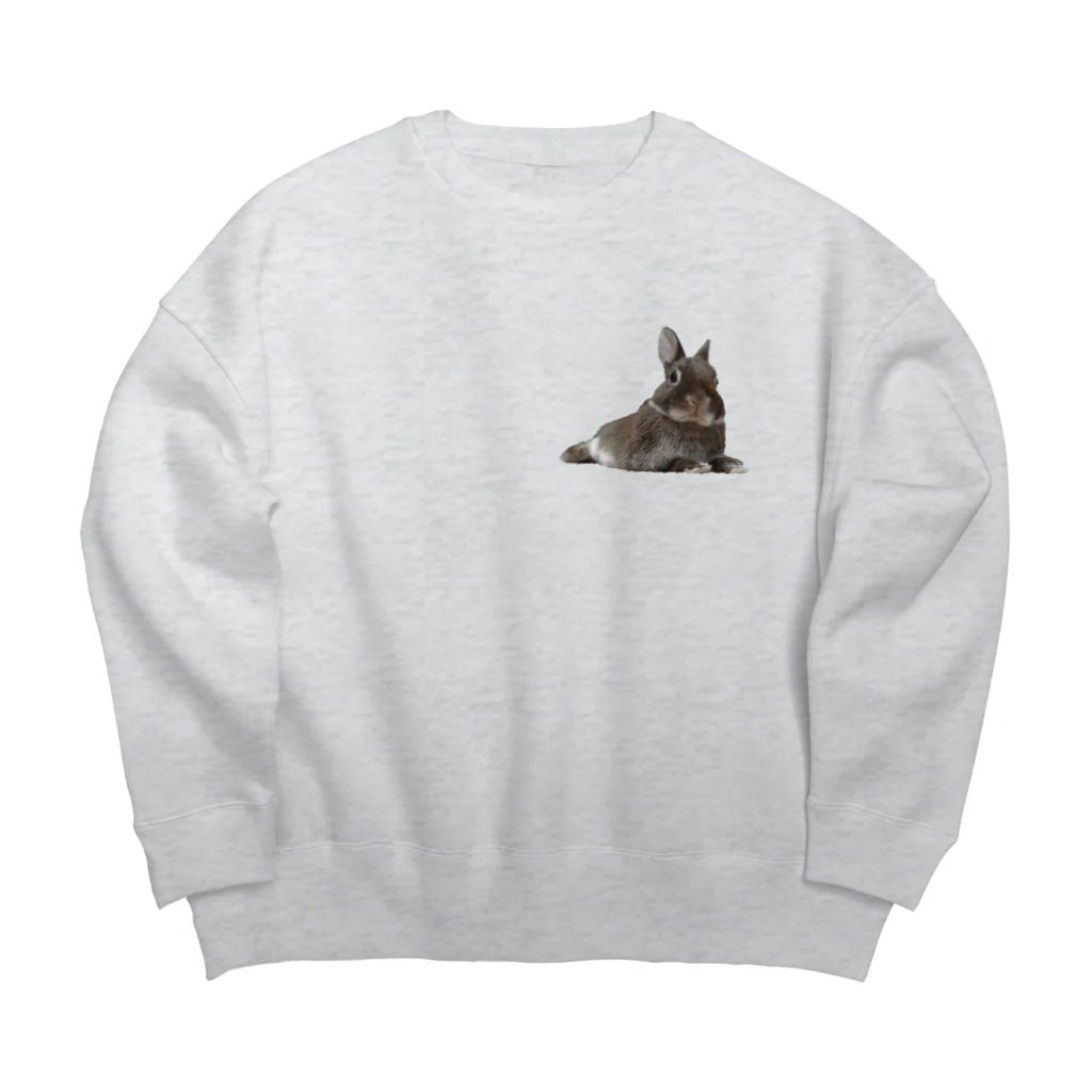 ほりちゃんねるしょっぷのうさぎのほーりー① Big Crew Neck Sweatshirt