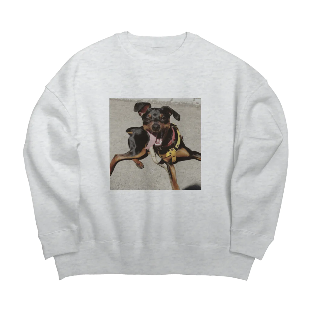 ミニピン ジロのジロ Big Crew Neck Sweatshirt