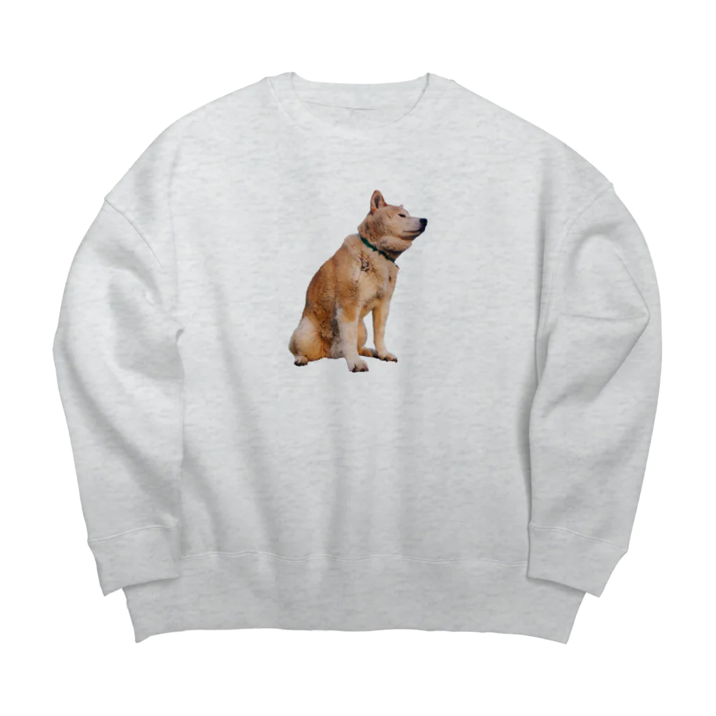 愛犬太郎のグッズの黄昏太郎【柴犬】 Big Crew Neck Sweatshirt