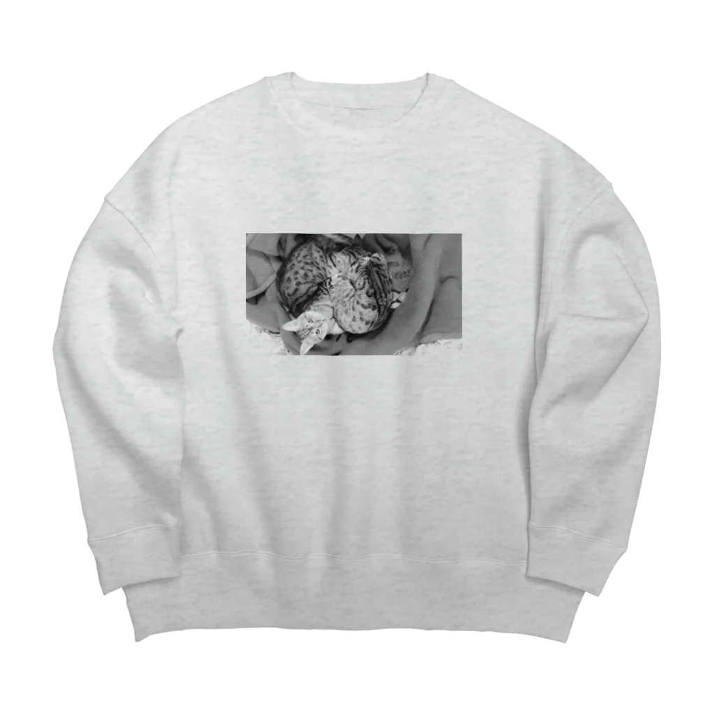 おでんのニャア Big Crew Neck Sweatshirt