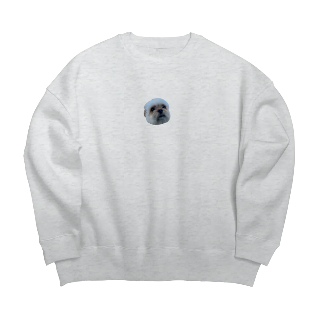 ポメラニアン×シーズーむーちゃんのポメシーむーちゃんスンッ Big Crew Neck Sweatshirt