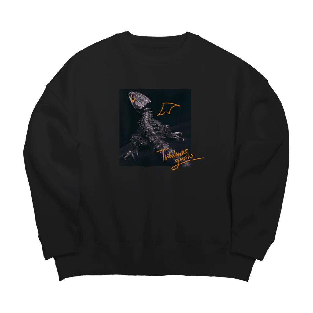 NECOCAI NO SHOPのTribolonotus gracilis Big Crew Neck Sweatshirt