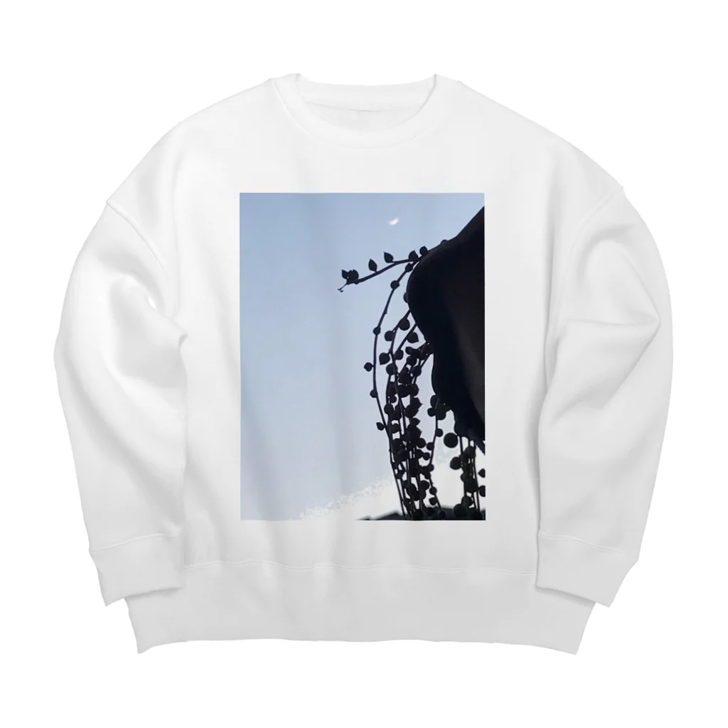 シアン猫の植物図鑑の三日月とグリーンネックレス Big Crew Neck Sweatshirt