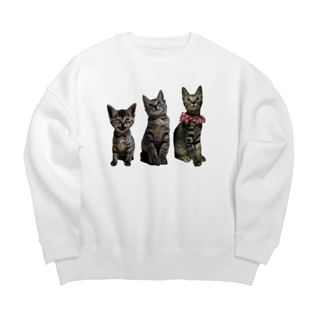 ブティックNENE🐾のネネの仔猫時代 Big Crew Neck Sweatshirt