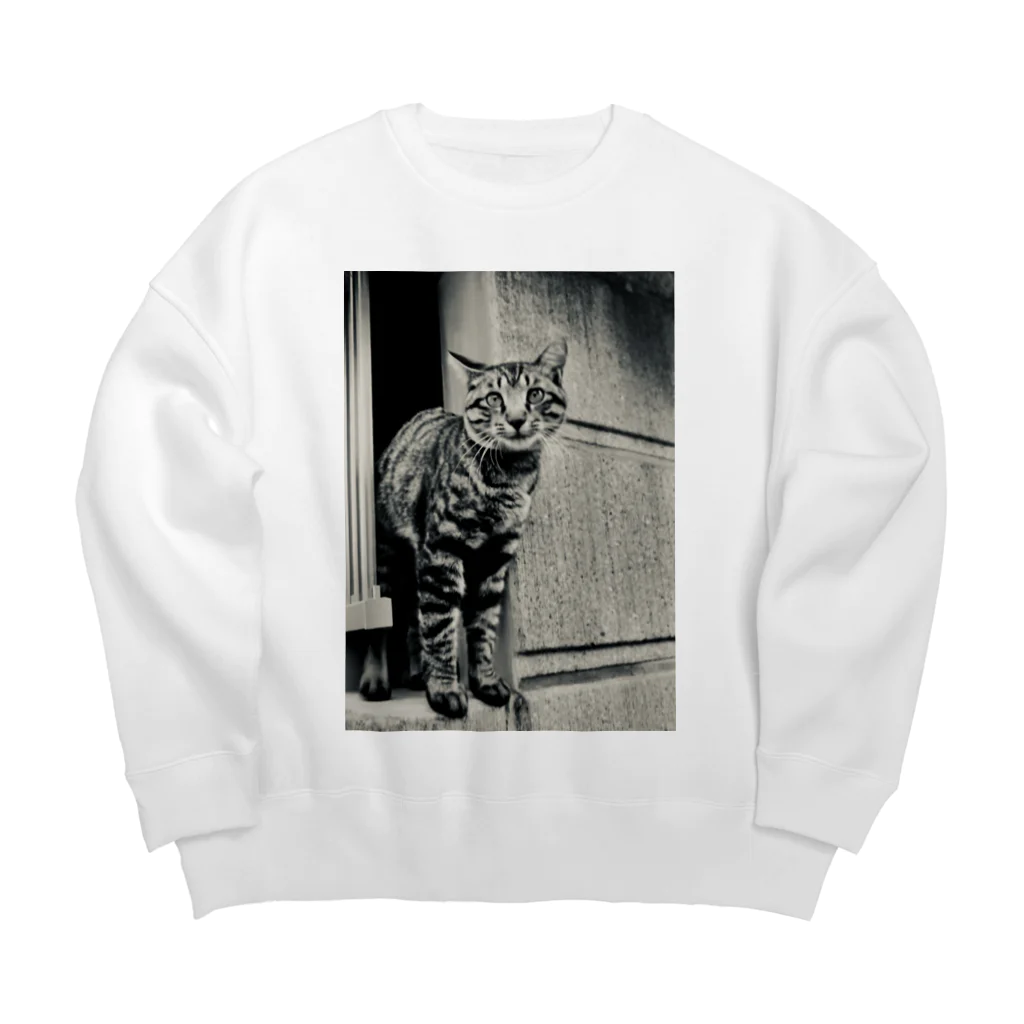 Cathouse Corp.のCathouse 8tee Big Crew Neck Sweatshirt