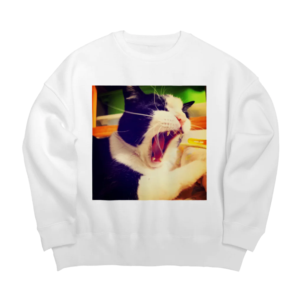 猫力(CAT POWER)のテトちゃ1 Big Crew Neck Sweatshirt