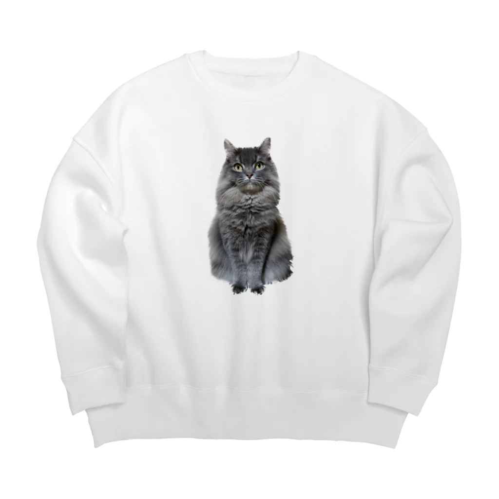 お殿氏SHOPのお殿氏　正面写真シリーズ Big Crew Neck Sweatshirt