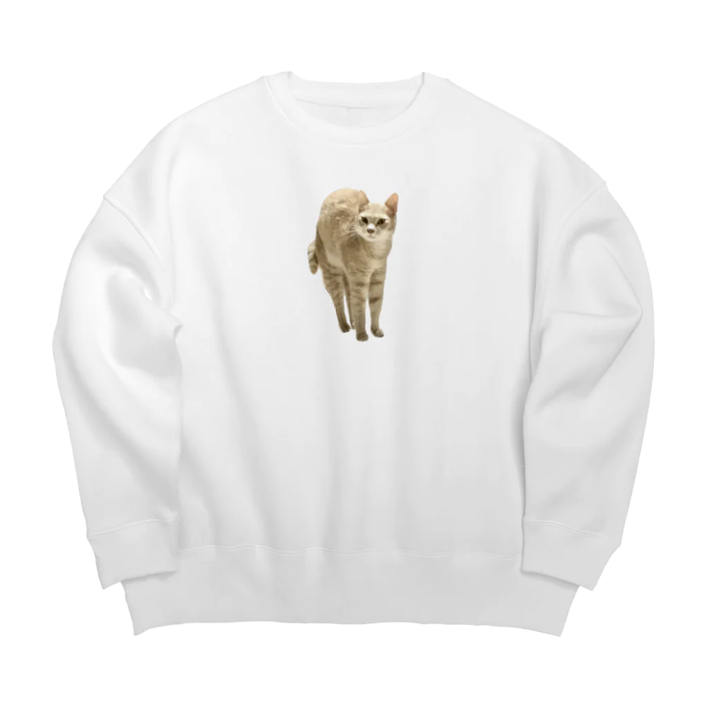 茶トラねこずの伸びるシロ Big Crew Neck Sweatshirt