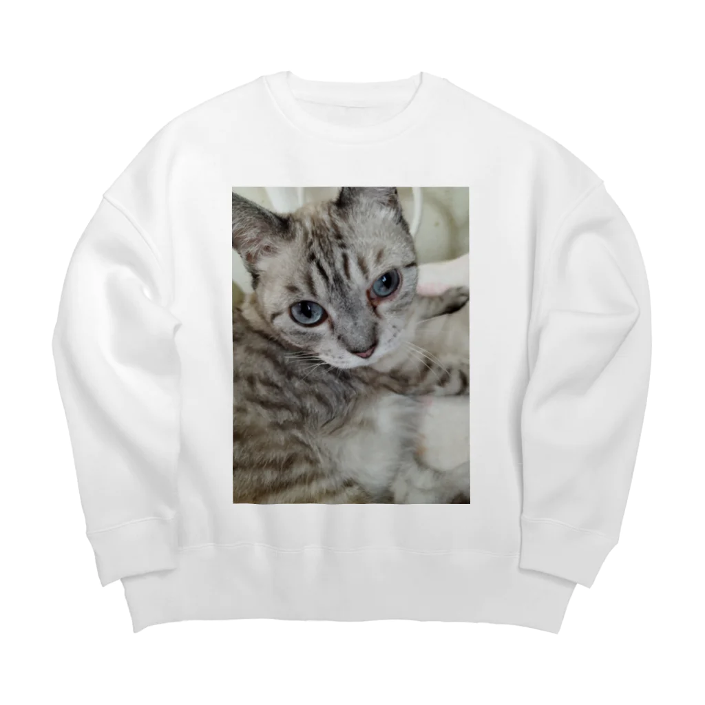 ねこの森でお散歩のフッワフワのシャムミックス Big Crew Neck Sweatshirt