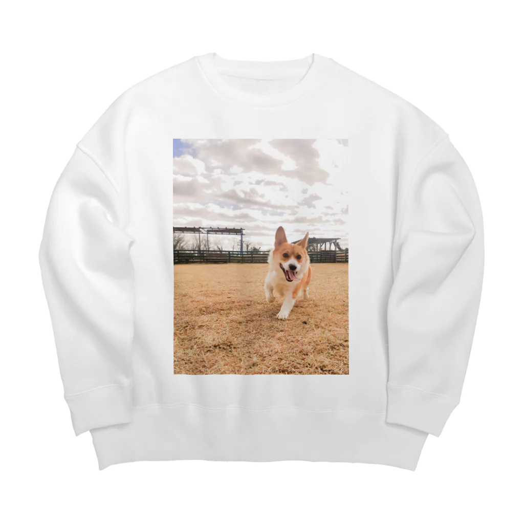 脚長コーギーの脚長コーギーむぎくん Big Crew Neck Sweatshirt