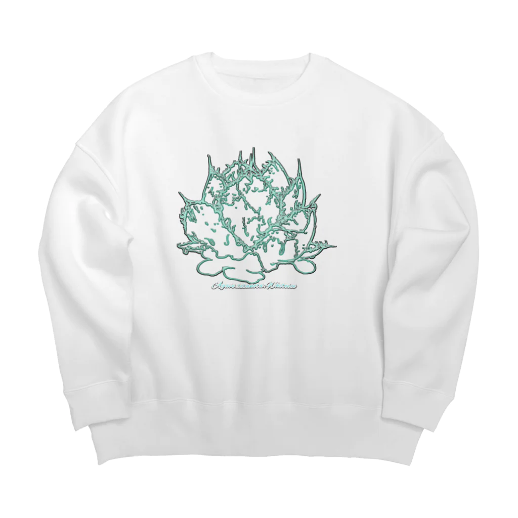 Hakoniwaraboのアガベホワイトアイス Big Crew Neck Sweatshirt