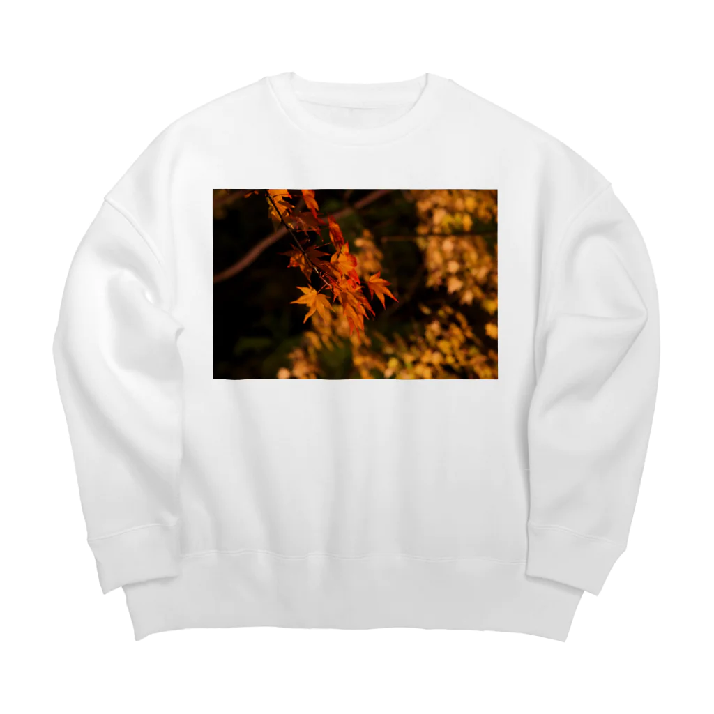 nokkccaのライトアップ紅葉 - Japanese maple(night shot) - Big Crew Neck Sweatshirt