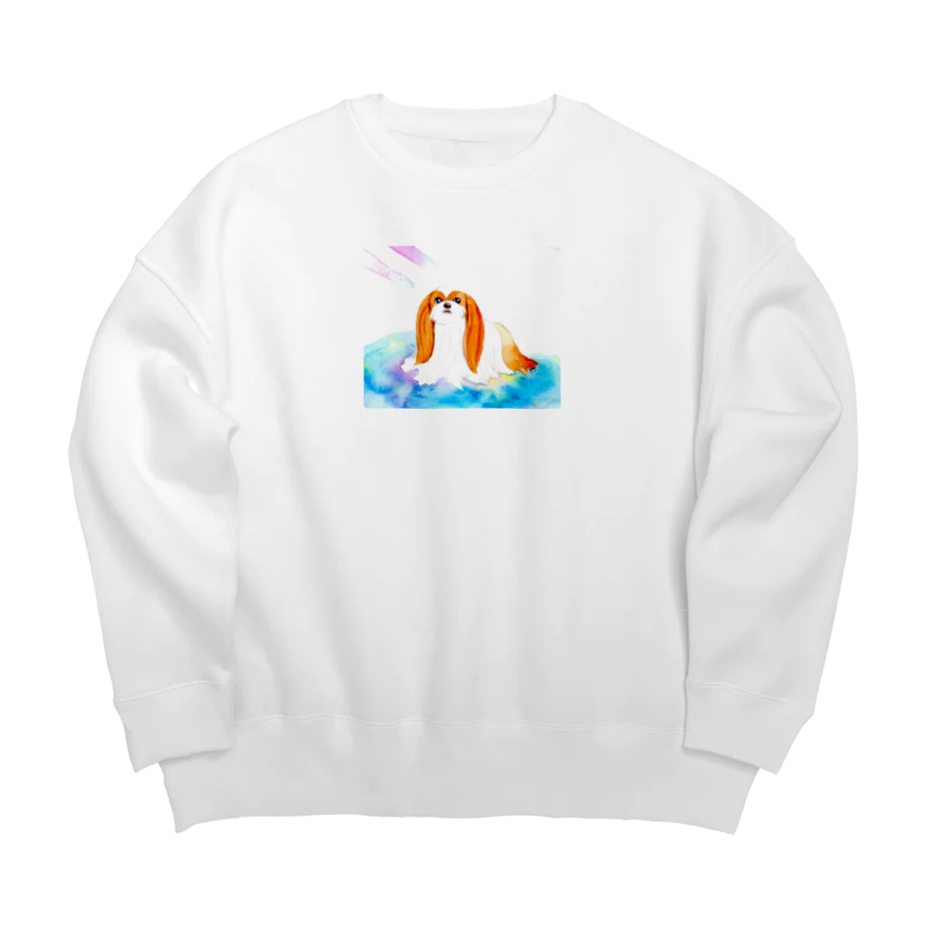 スタジオマリンのシーズー　1ｓ Big Crew Neck Sweatshirt