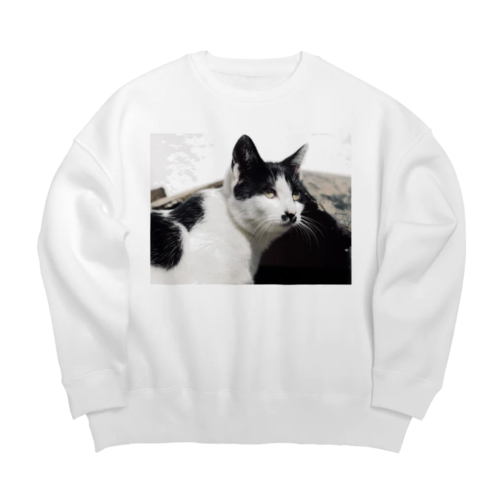 ともさんかくのお店のたまちゃん(ねこ) Big Crew Neck Sweatshirt