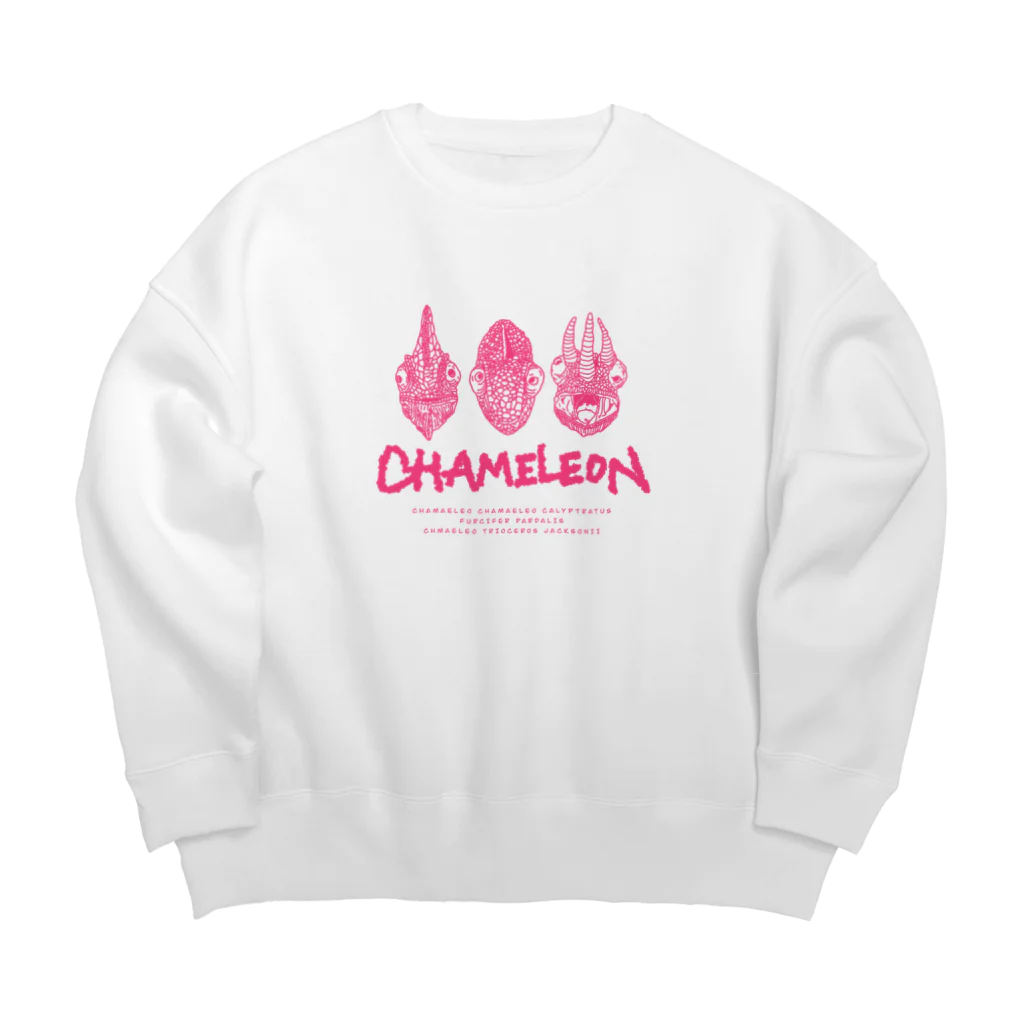 LEOLEOのthe chameleon Big Crew Neck Sweatshirt