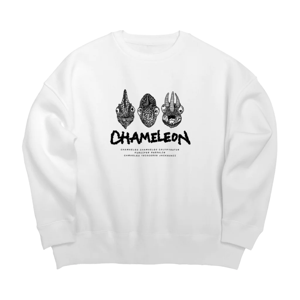 LEOLEOのtha chameleon Big Crew Neck Sweatshirt