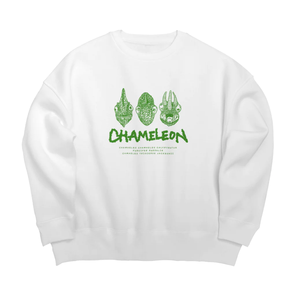 LEOLEOのthe chameleon ビッグシルエットスウェット