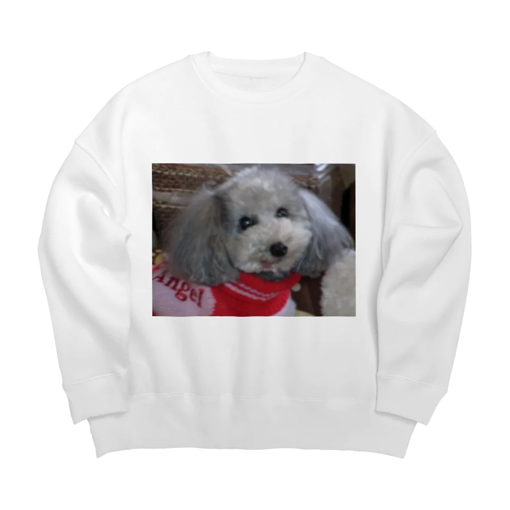 iyasinceのお犬好し「ぱぁるたん」コミュニケーション能力 Big Crew Neck Sweatshirt