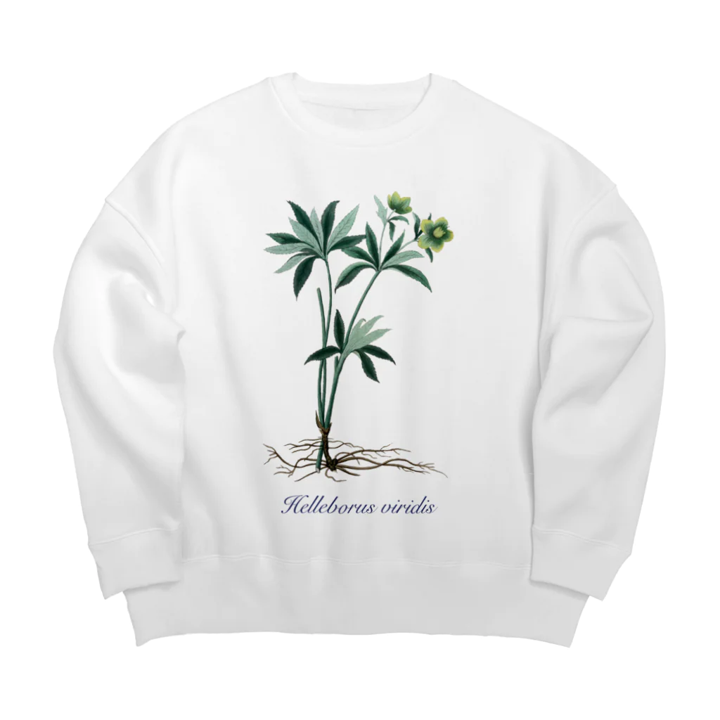 Nursery Rhymes  【アンティークデザインショップ】のクリスマスローズ - アサギフユボタン Big Crew Neck Sweatshirt