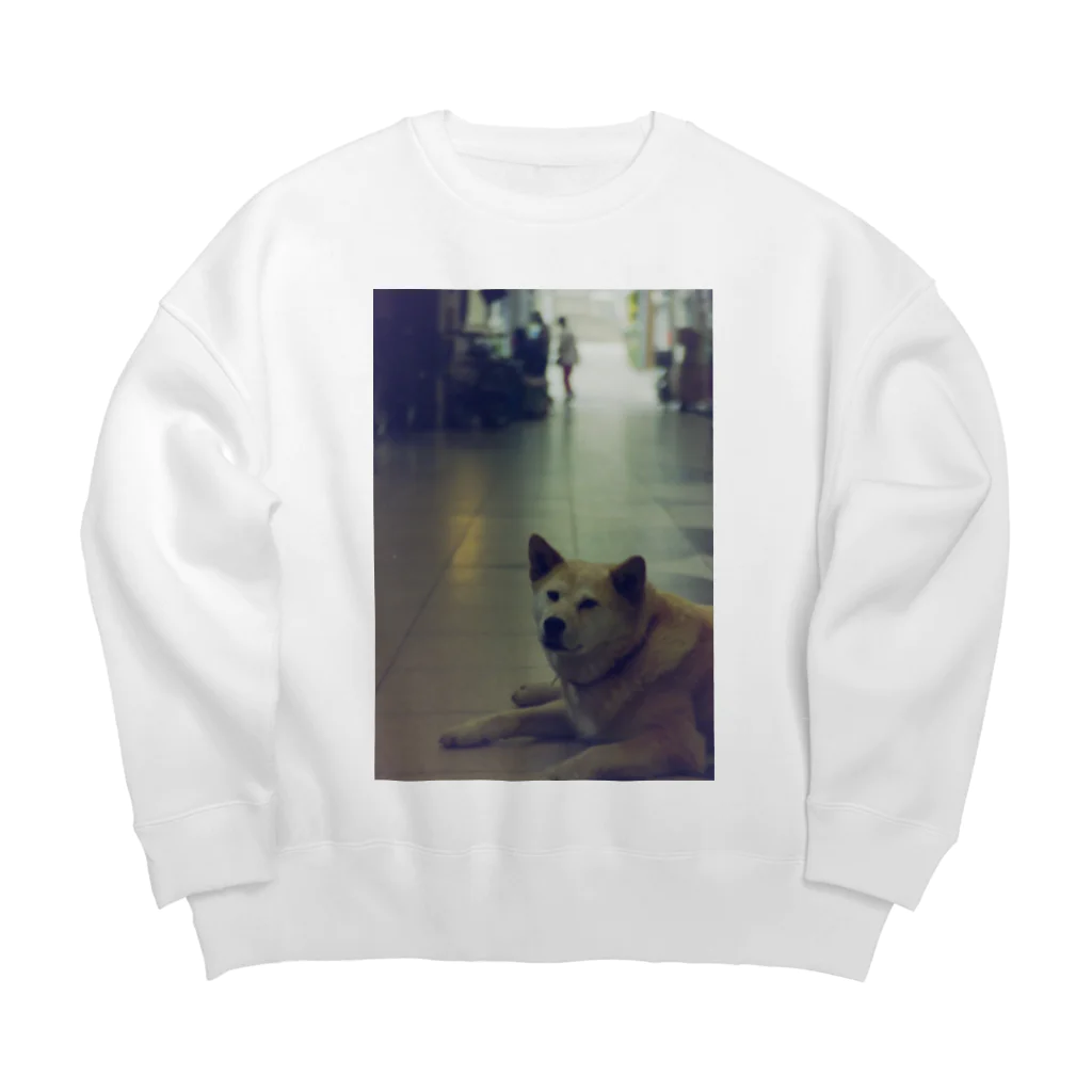 Robin_Hiroshimaの尾道ガイド犬ドビンちゃん Big Crew Neck Sweatshirt