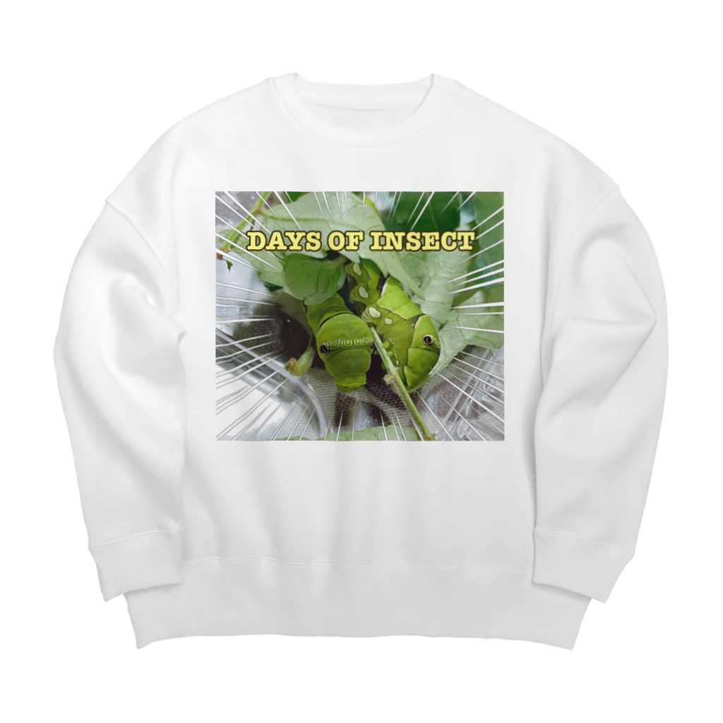 DAYS OF INSECTのナミアゲハの幼虫飼育！① Big Crew Neck Sweatshirt