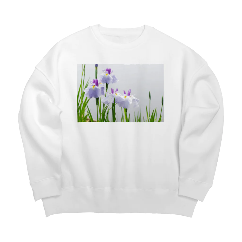 akane_art（茜音工房）の癒しの風景（花菖蒲） Big Crew Neck Sweatshirt