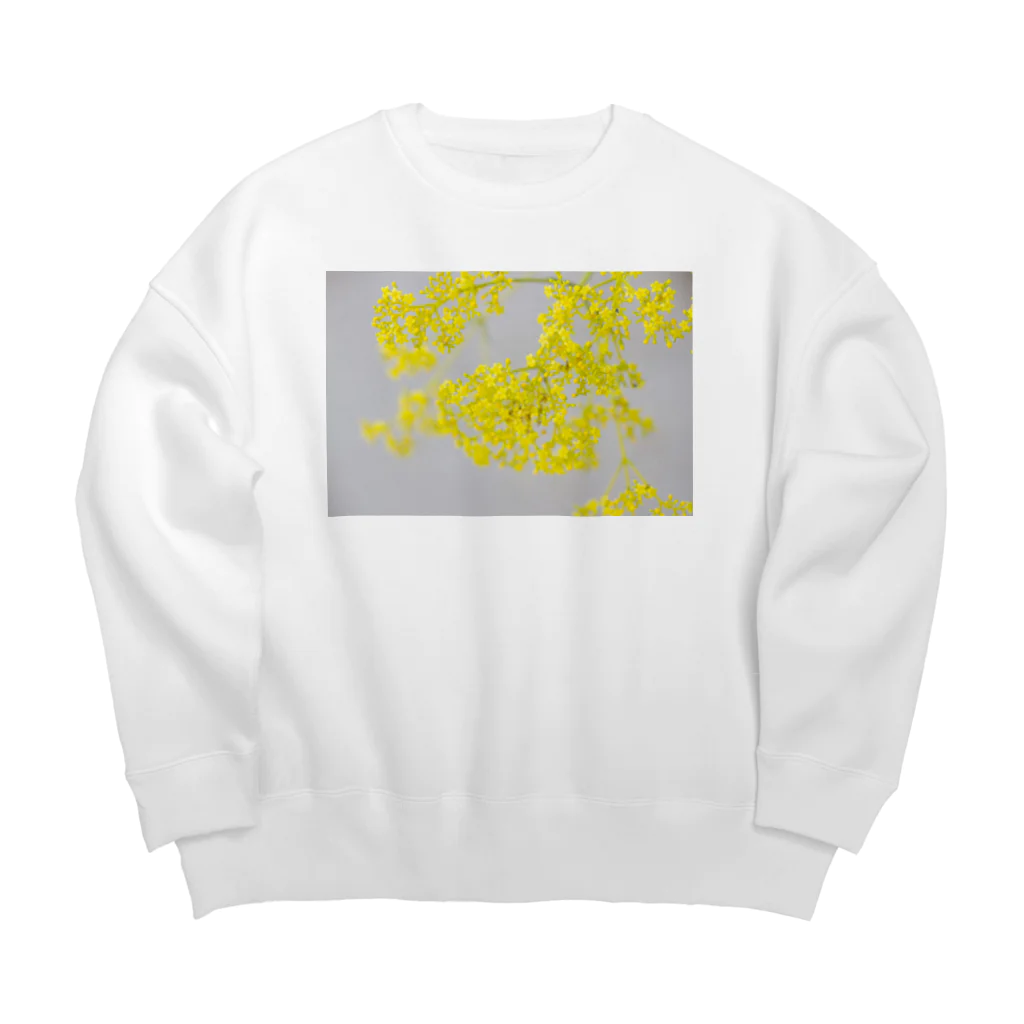 akane_art（茜音工房）の癒しの風景（オミナエシ） Big Crew Neck Sweatshirt