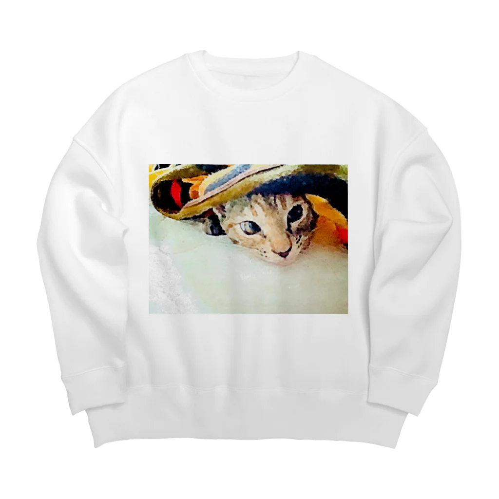 コハクのブランケットからひょっこりニャンコ🐱 Big Crew Neck Sweatshirt