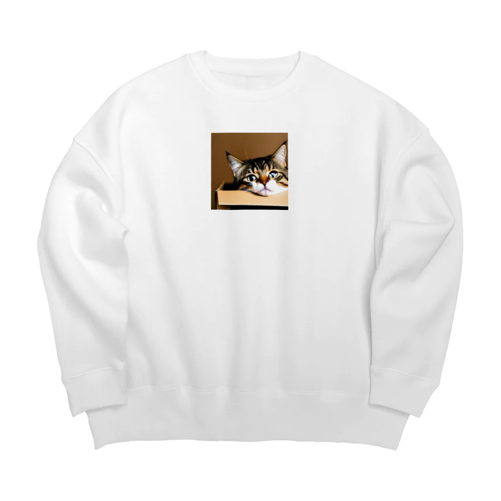 チェリオの箱に入った可愛い猫 Big Crew Neck Sweatshirt