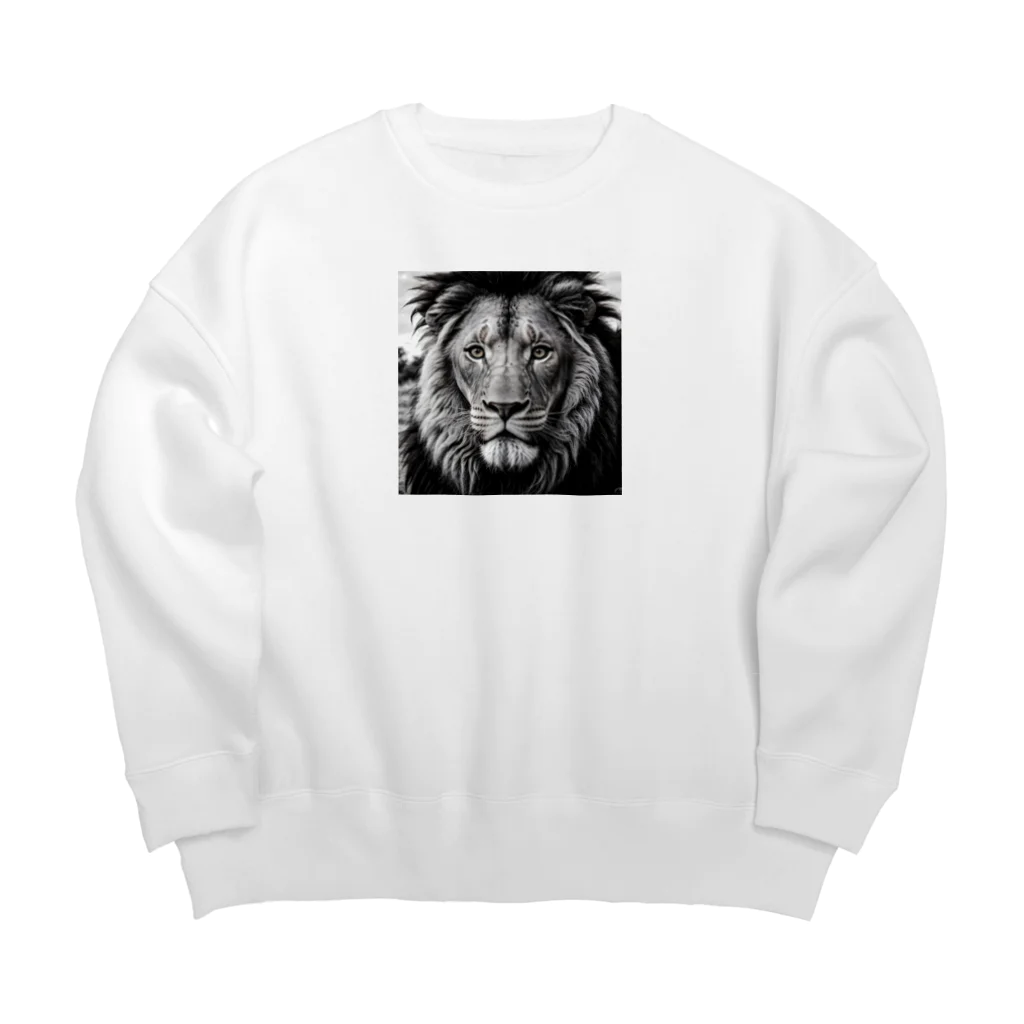 TGFDのTGFD Big Crew Neck Sweatshirt