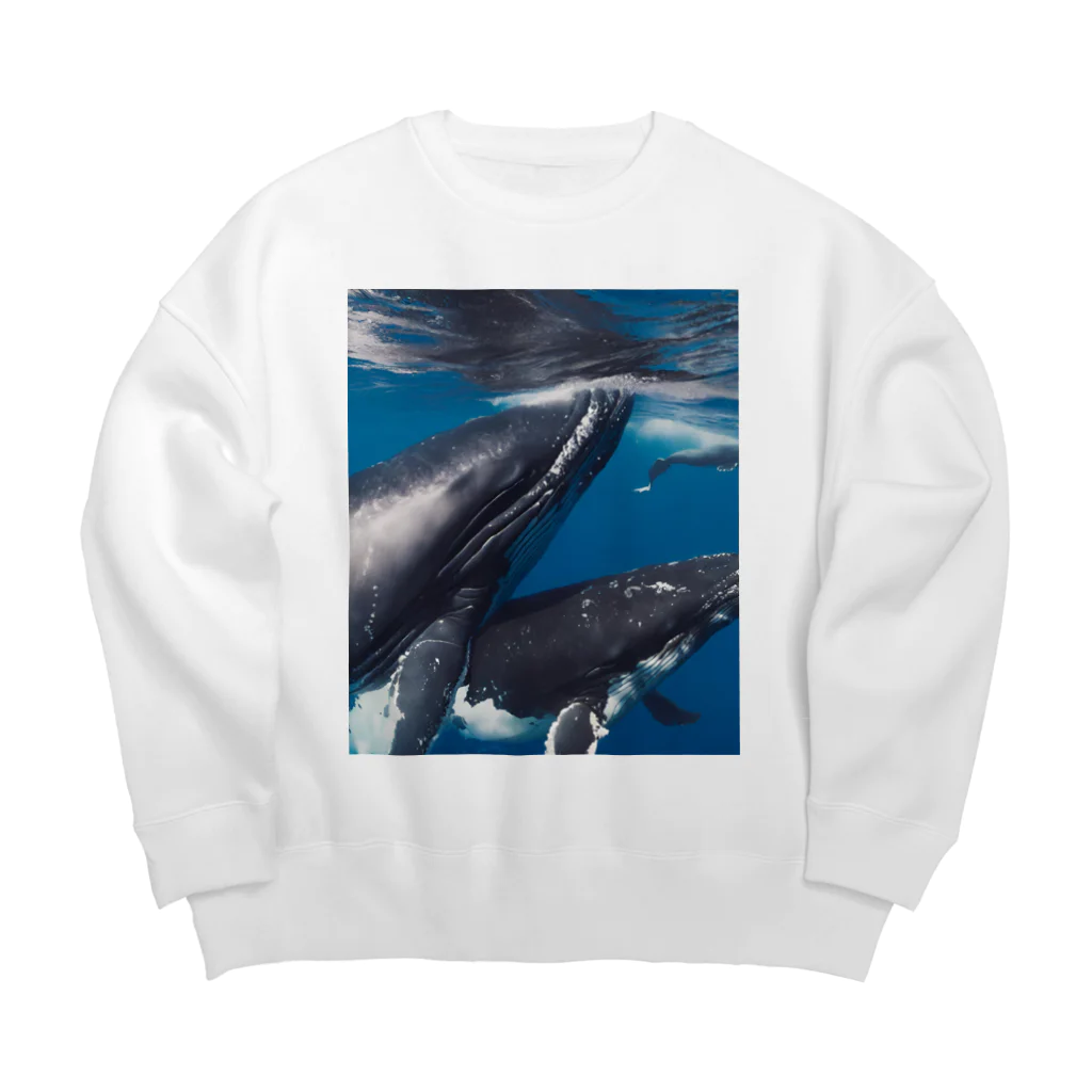 Fasterのシロナガスクジラ　親子 Big Crew Neck Sweatshirt