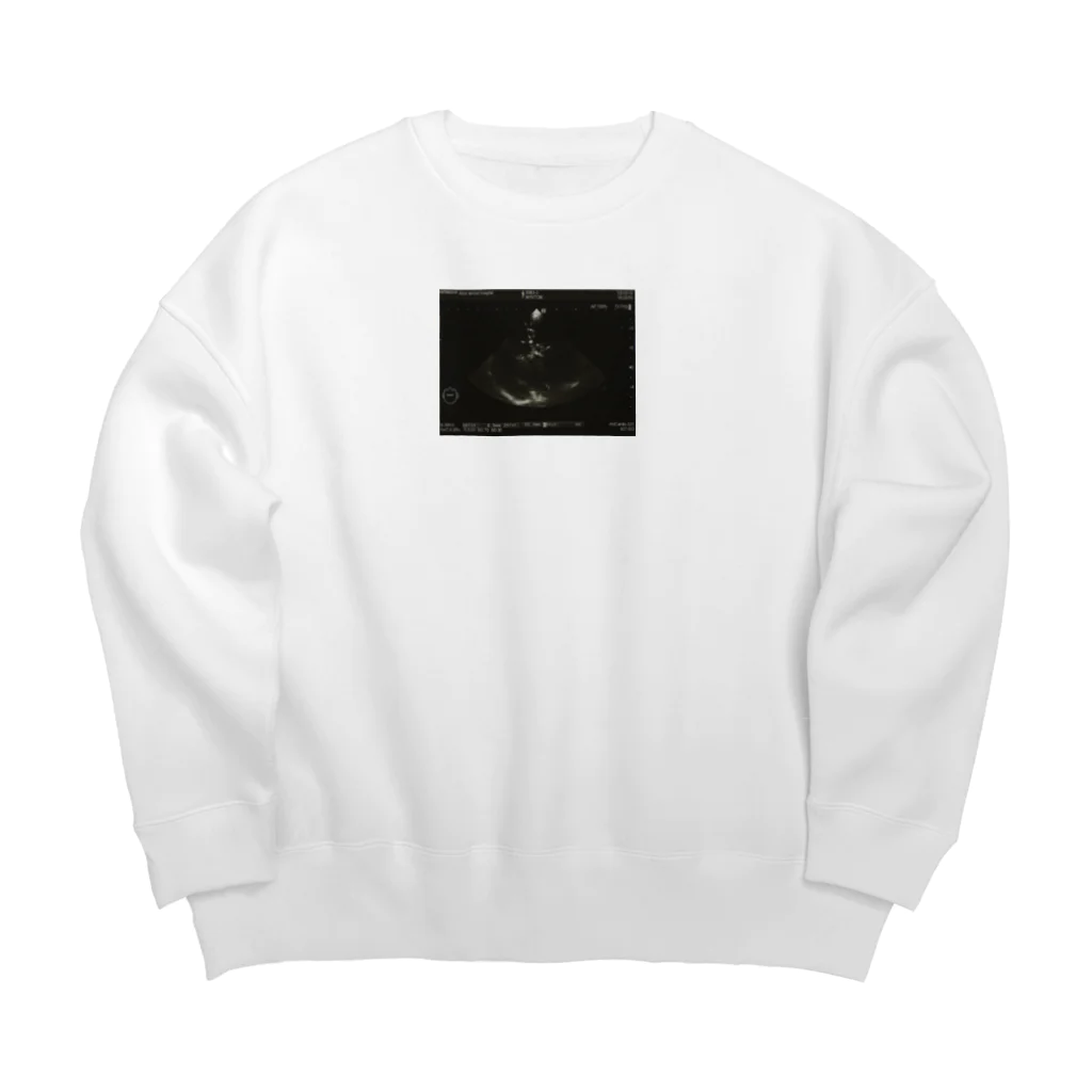 takaohaijiのにゅーとんのあたまのえこー Big Crew Neck Sweatshirt