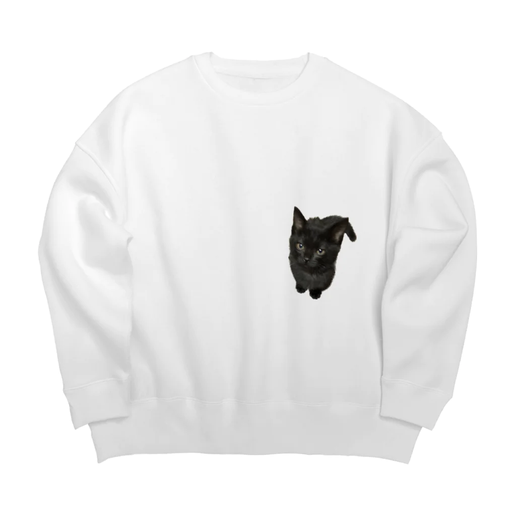 そうめんザーサイのうちの猫 Big Crew Neck Sweatshirt