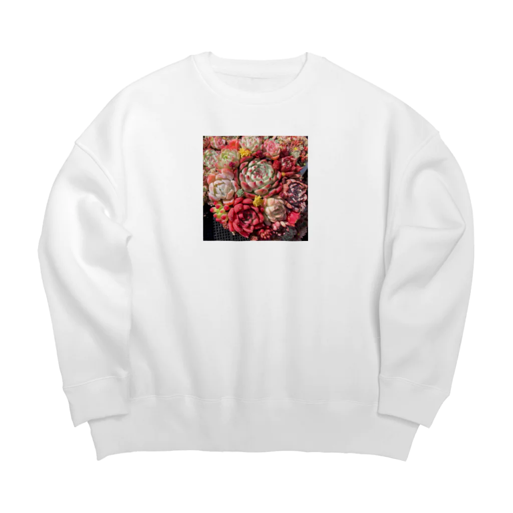 Echeveria_Masterの華やかなエケベリア Big Crew Neck Sweatshirt